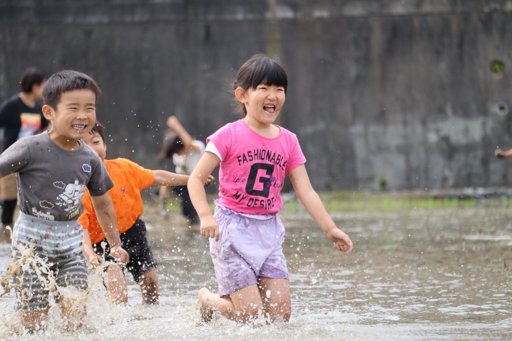 泥と水しかない田んぼですが
タニシを探したり、友達と相撲をとったり・・・
楽しみ方はそれぞれです