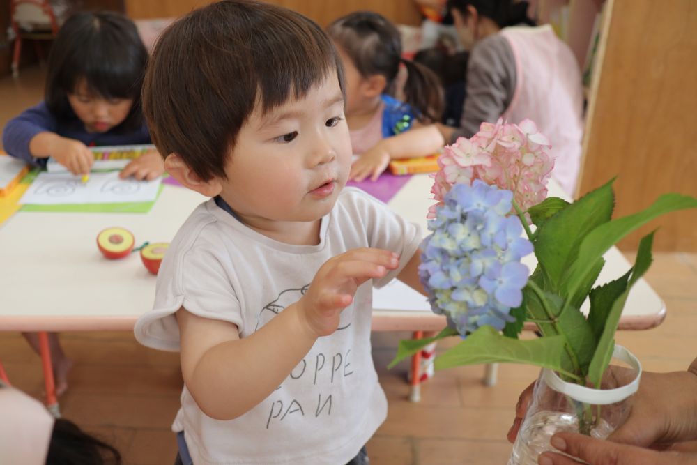 今日も雨
園庭に出られずがっかりした様子の子どもたち…
「よし！今日は新しいことにチャレンジしよう！」
先生の言葉を聞いて表情が変わります♡



クレヨンでお絵かきするのが最近のクマ組のお気に入り
今日もクレヨンを見ると・・
「する！」「〇〇ちゃんも～」と集まってきました

カエル、カタツムリ、かさ、あじさい
みんなが知っている梅雨のもの、好きな色で塗ってみよう♪
ぬりえをしました！

あじさいのぬりえを選んだRくん
部屋に飾ってあるあじさいを近くで見せてもらいました
指でツンツン
手のひらでなでなで触ってみる
鼻でクンクン匂ってみる
