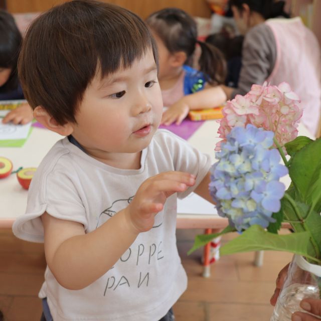 ＊　2歳児　ぬりえ　＊