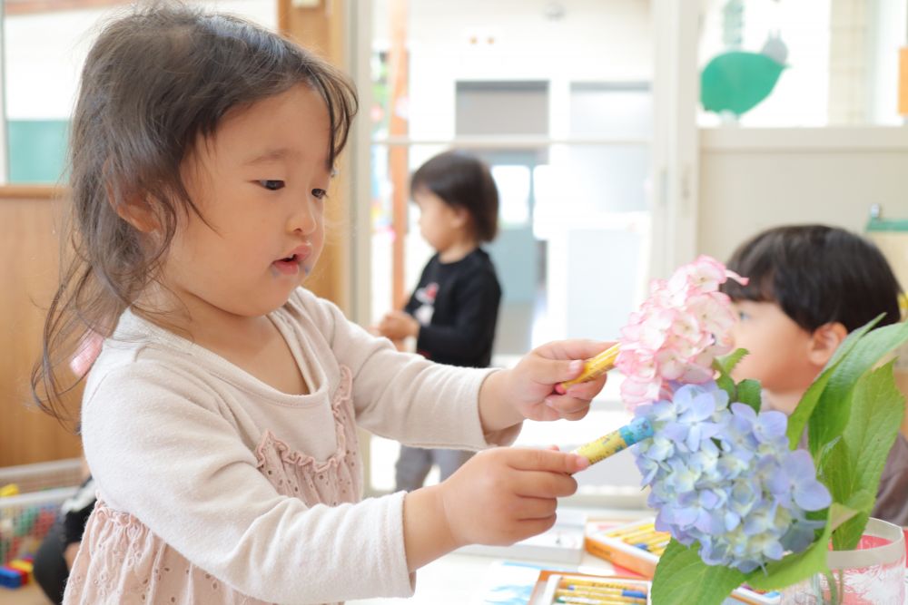 ピンク色と水色のクレヨンを手に取って
「いっしょだね♡」
それぞれのあじさいに重ね、色を楽しむNちゃん

明日はどんな楽しいことをしようかな♪
