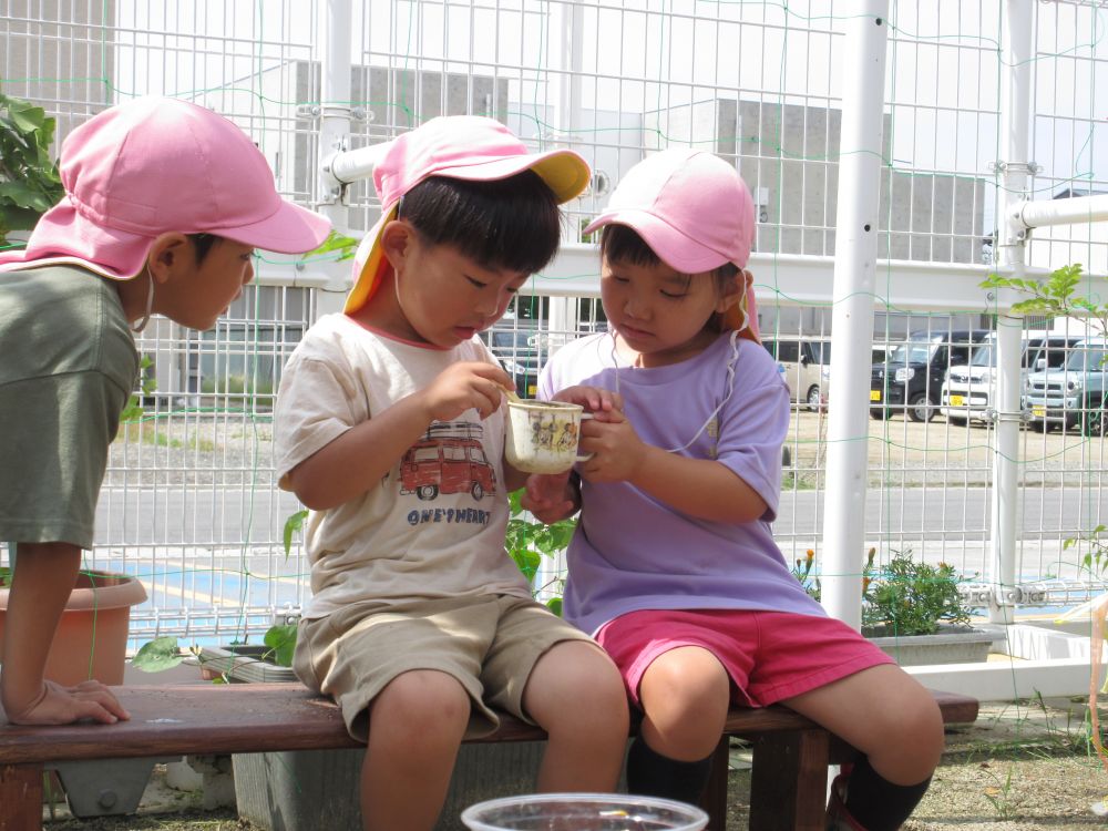 泥や水、草花などを使ってごちそうを作る
作ったごちそうを友達に食べてもらう
いつのまにか店員と客のやりとりになり、お店屋さんに・・・♡



「Sくん、ぶどうジュースあげる！」
「飲んでいいの？ぶどうが中に入ってる！？」
「ぶどうは潰して飲んでね！」