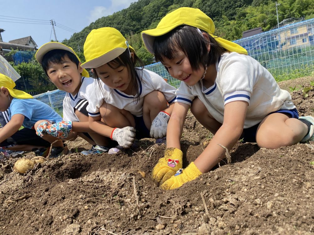 
大きいじゃがいも掘るぞー！
と張り切って出かけたキリン組さん

「この下に大きいのがあるんだけど
　出てこんのんよね～」
とTちゃん

「手伝ってあげる」
とすかさず手伝うMちゃん

２人で協力しています
さすが仲良しコンビ♡
