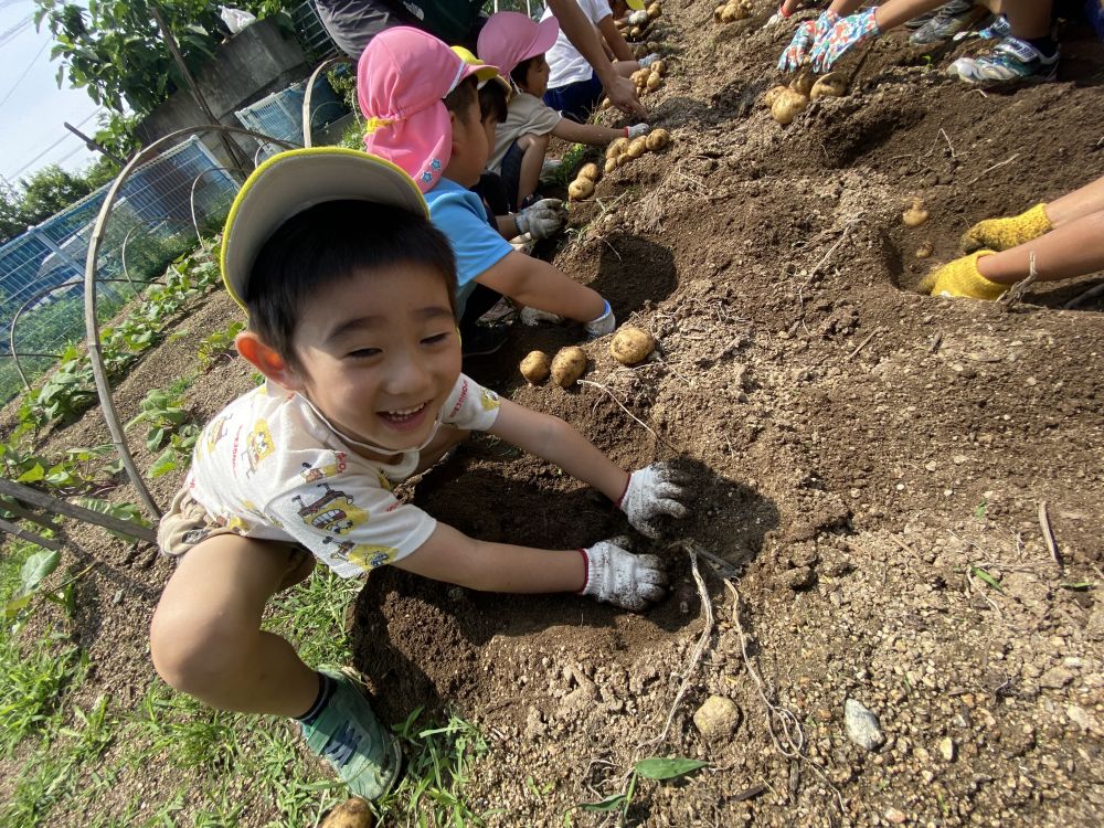 
赤いじゃがいもゾーンを掘るTくん

「なんで俺だけ赤いじゃがいもばっかり出てくるん？」
といいつつも、
なんだか嬉しそうなTくん（笑）
