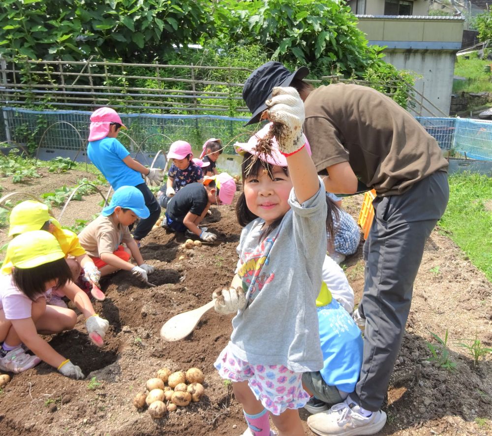 『自由に掘っていいよ～』

と伝えるとみんな夢中になって一生懸命土をかきわけます。
ミミズや幼虫などたくさんの虫も見つけて
｢見てみてーミミズがおるよ！｣
『なんでミミズがおるんかね？』
｢なんでかねー？｣
『土に栄養があるんじゃない？』
｢そっかーじゃがいもがあるもんね｣

｢でもぜんぜんじゃがいも出てこんねー｣
『もっと深いところにあるんかね？』
｢わかった！せんせい一緒に掘ろー｣
『いいよ！』