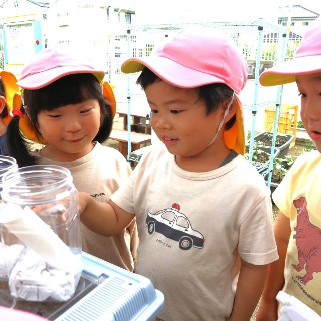 ＊　4歳児   　かぶとむしのさなぎ②　＊