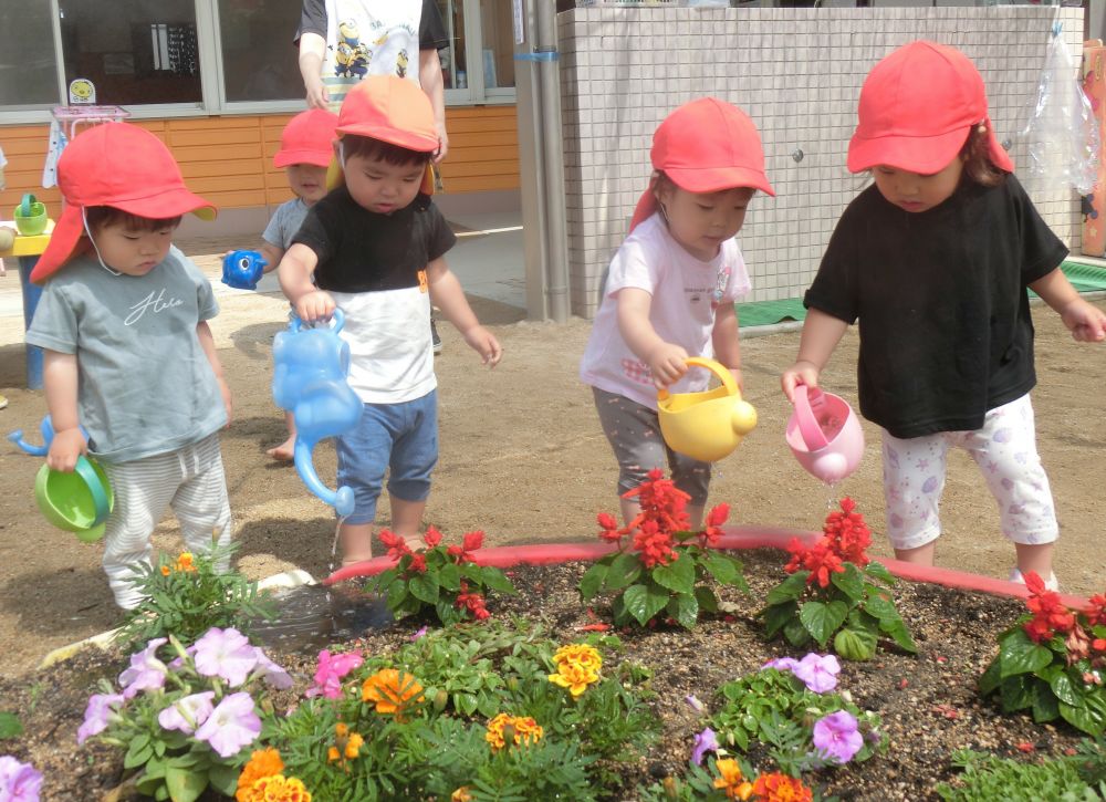 花に水やり♪

先生があげているのを見て、
自分でジョウロを探してきて、
先生のまねっこ♡お手伝い♡

最初は、裸足になるのが苦手な子もいたけど、
友だちが裸足になっている姿や、
裸足になって楽しく遊んでいる姿を見て、
すぐに裸足で遊ぶことに慣れました♪

これから、もっともっと水で遊ぶのが、
楽しい季節になってきます。
泥んこ＆水遊び楽しもうね★
