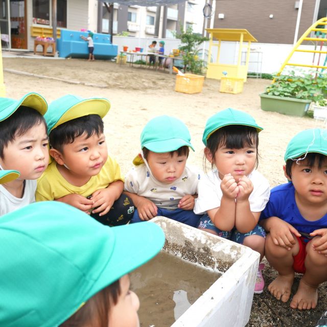 ＊　３歳児　　田植え　＊