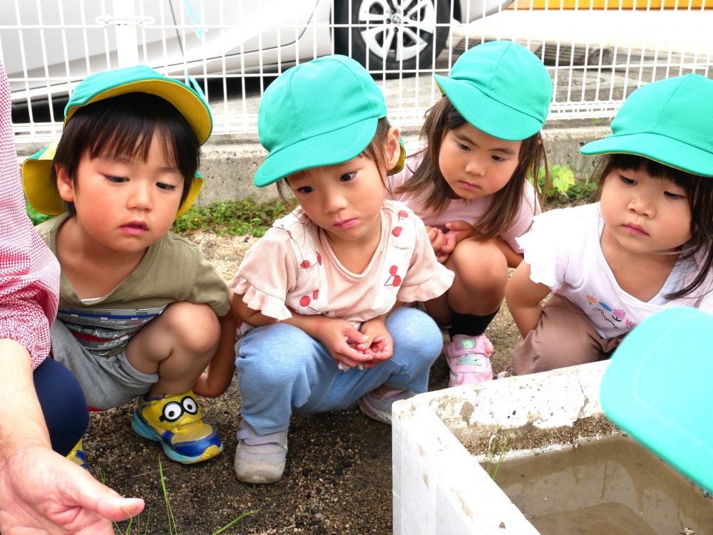 僕も！私も！やってみたい♡
興味を持った子がどんどん集まってきました