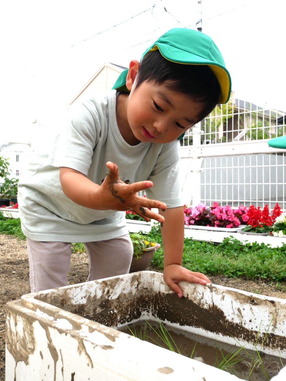 実際に植えてみると・・・
『ぬるぬる～』
『気持ちいい』
泥の感触が楽しいね♡
お米ができる日が楽しみです