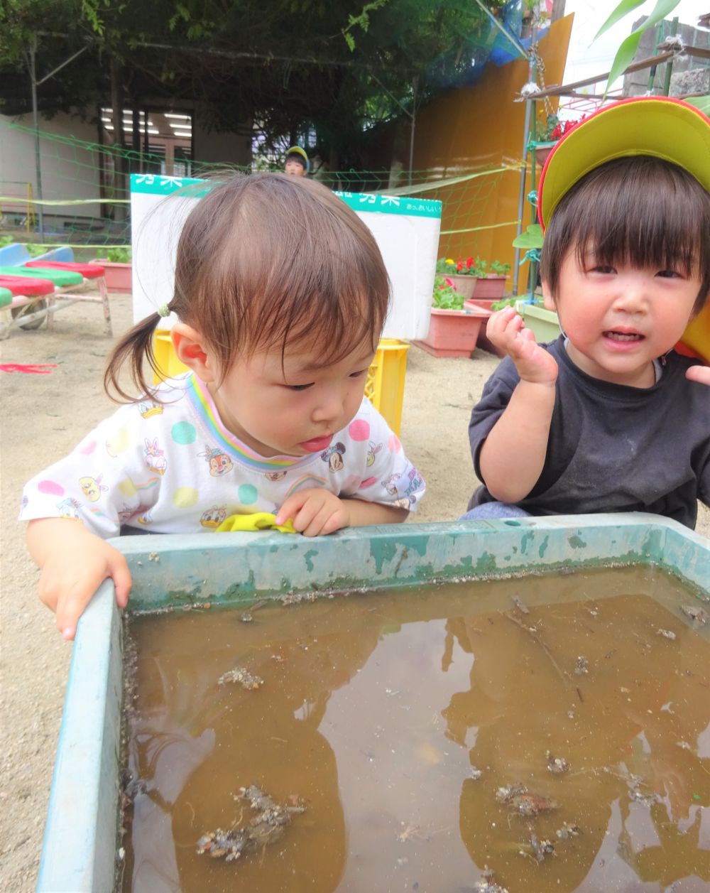 隠れるのが上手なおたまじゃくしさん
「でておいで」と先生が言うとそれを真似して
「でておいで」と、Jくん♡