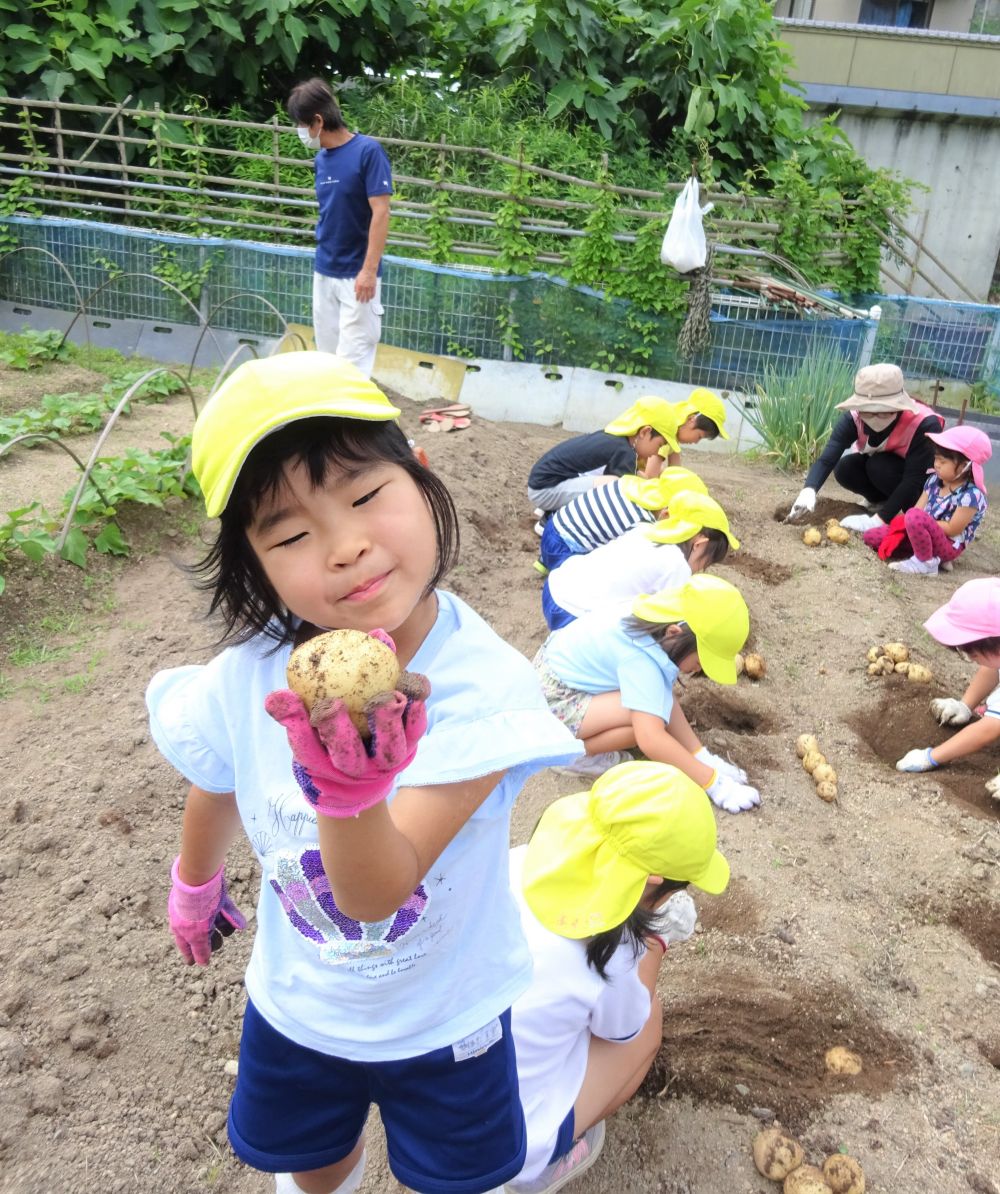 軍手をしっかりしてどんどん掘っていくと・・・
｢わーーーいっぱい出てきたよ！！｣
｢見てみて先生、これは何かの形に似てるね？？｣
小さいあかちゃんじゃがいもから大きなじゃがいもまでいろんな形があるね～

｢わっミミズ・・・｣
ミミズの苦手は子は
｢・・・先生なんでミミズがおるんかね～｣
『それは土が美味しいからだよ』
｢そーなんじゃ。だったらじゃがいもも美味しいかね・・・｣

じゃがいも食べるの楽しみですね♡