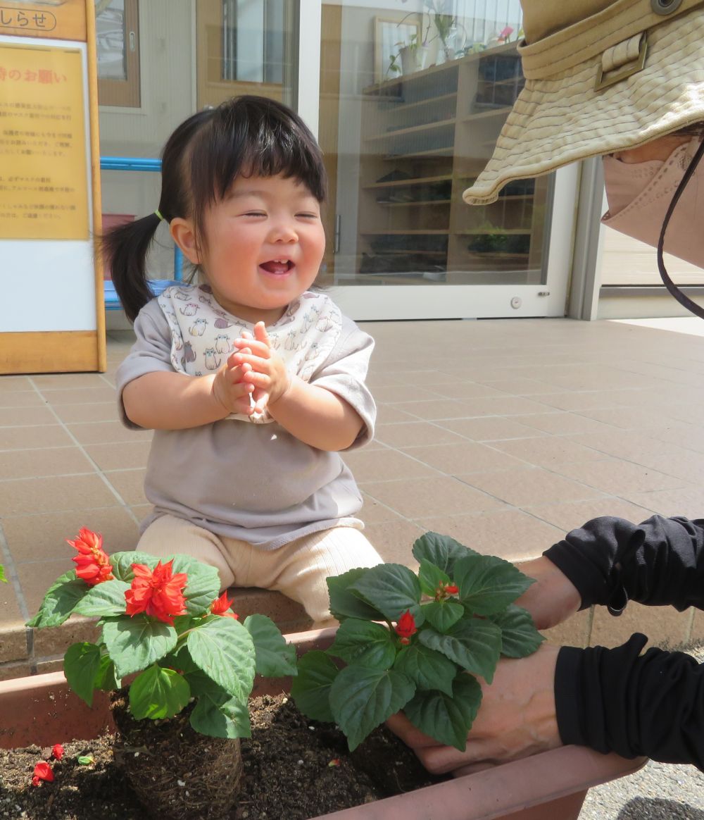 6月９日
緑化推進委員会から、花の苗をいただきました♪

クマ組さんが、好きな色の花を植えた後
ヒヨコ組さんは、先生と一緒に植えました💗