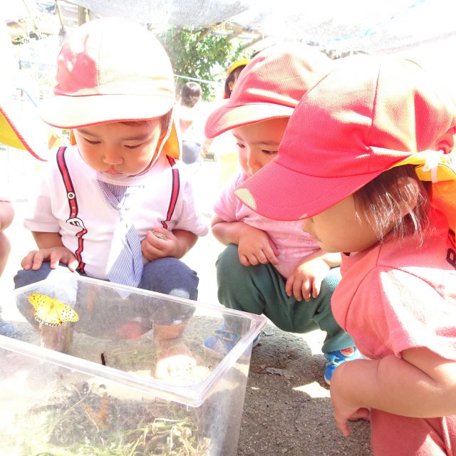 ＊　１歳児　ちょうちょになったよ！①　＊