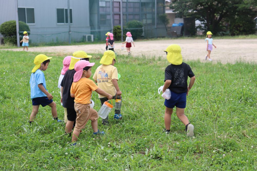 雨が多い６月
久しぶりに晴れたのでシニアカフェに虫探しに行きました
なんと、バッタや蝶々がとてもたくさんいて、みんな大喜びで採取しました