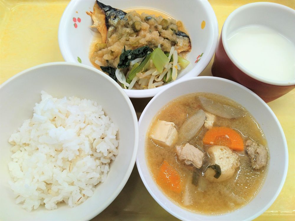 麦ご飯

さばのみぞれ煮

ゆで野菜

みそけんちん汁

牛乳