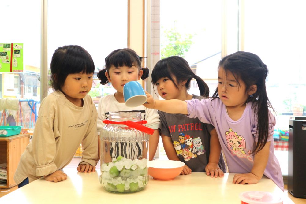 ”梅→リンゴ酢→氷砂糖”の順番に、交互になるように入れていきます

リンゴ酢の量はほんの少し・・・
後の友達のことを考えて、
ちょっと入れたら交代する姿が♡