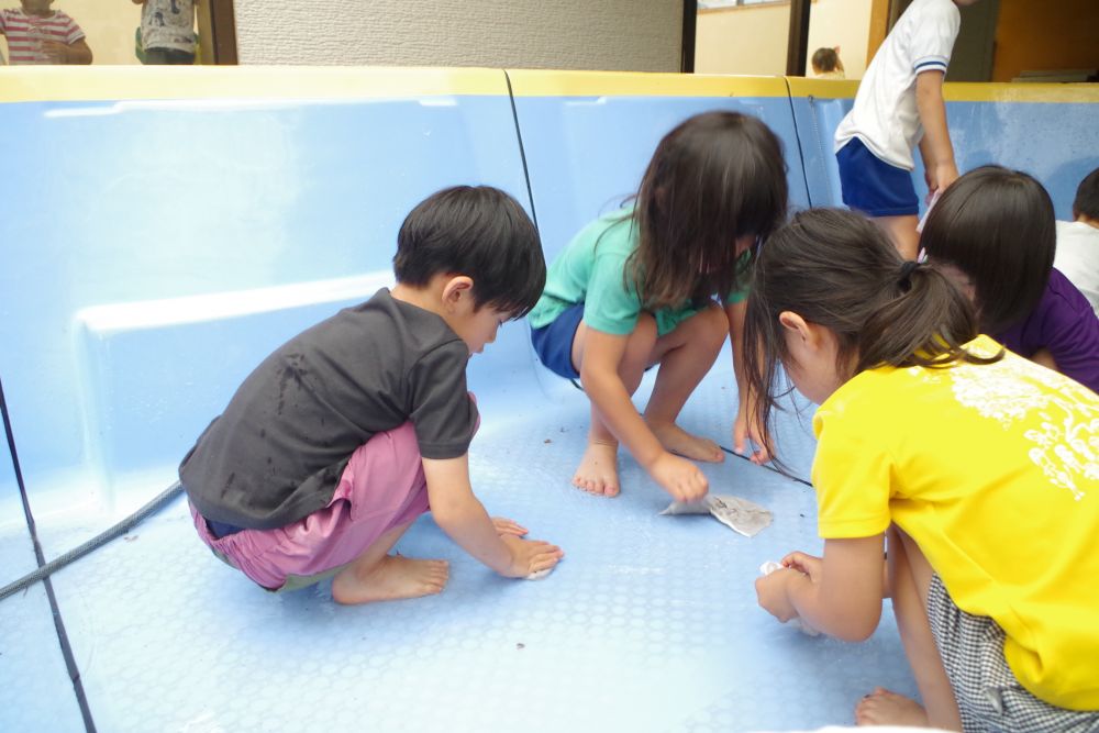 「プールに入る前の掃除はキリン組さんのお仕事よね！

プール開きが近づいてきて張りきっていたキリン組さん！

いよいよプール掃除の日がやってきました！タオル片手にお掃除開始～！！