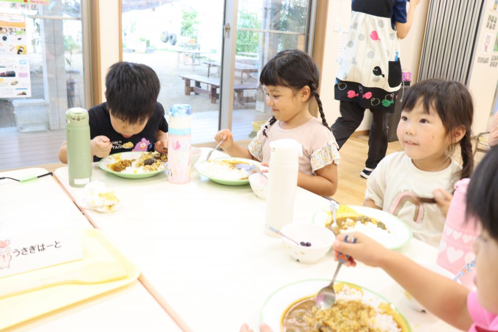 夏野菜カレー抜群の味です
ナスとピーマンとトウモロコシ
最高の具材です