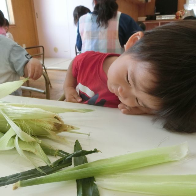 食育の日②　～１歳児　ヒヨコ組～