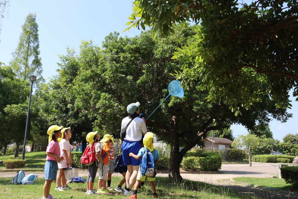 ７月も終盤に差し掛かり、教育認定児や小学校は夏休みに突入しました
夏の醍醐味！と言えばやっぱりセミ取り
男の子も女の子も羽田先生も広島県立総合技術高等学校からインターンシップできたお姉ちゃんもみんな夢中です