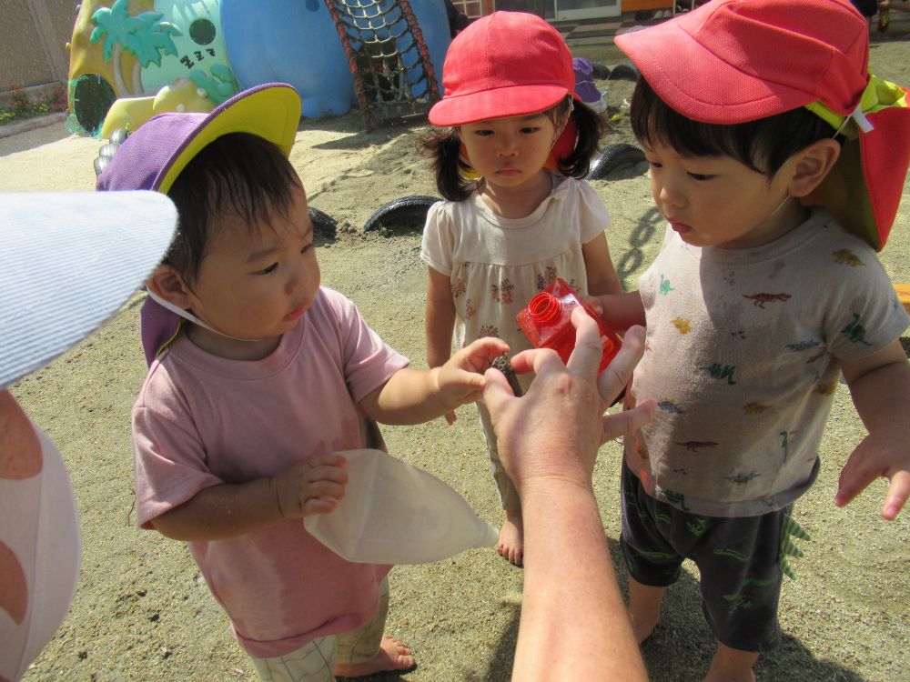 夏になると園庭にたくさんのせみがミーミーと鳴き声が聞こえてきます♪
虫が好きなウサギ組のみんなにセミを見せてあげたくて、園庭にいたセミを捕まえてみんなでセミに触れて楽しんだよ♡



虫が大好きなN君に、捕まえたクマゼミを怖がるかな…とドキドキしながら見せて見ると…
何だろう・・・と少し緊張する表情でセミを少し見ながら、気になる様子のN君！
ヒヨコ組さんと一緒に怖がることなくセミに触れ楽しんでます♡セミに興味津々のN君でした♡
