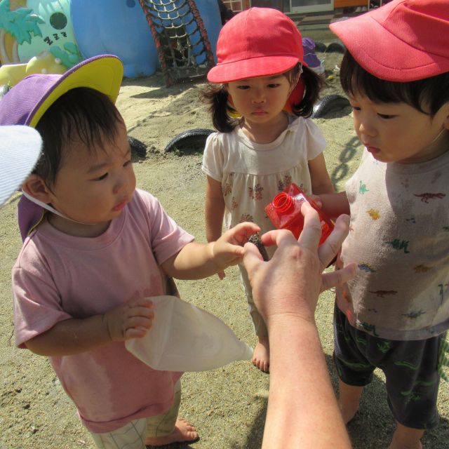 ＊　０歳児   セミに触れて楽しんだよ　♡