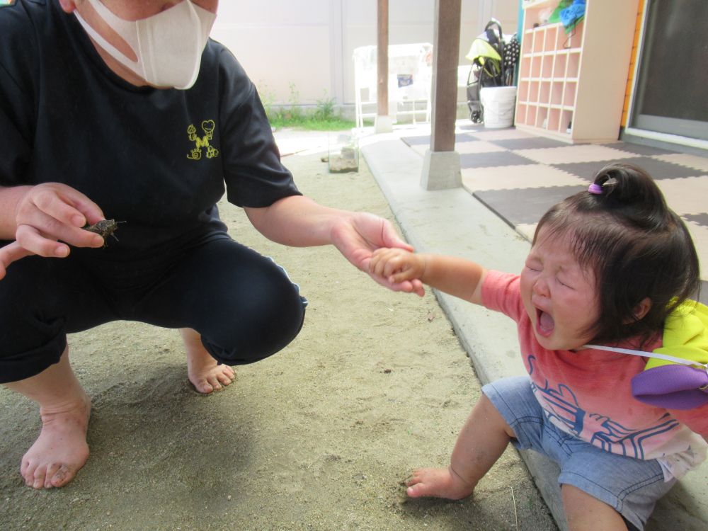 近くにいた、Hちゃんにも♡
すると、はじめはよく分からない様子のHちゃん
そーっと近づけて見ると…
びっくり！！
怖くて涙が出てしまいました
怖がらせて、ごめんね‥

