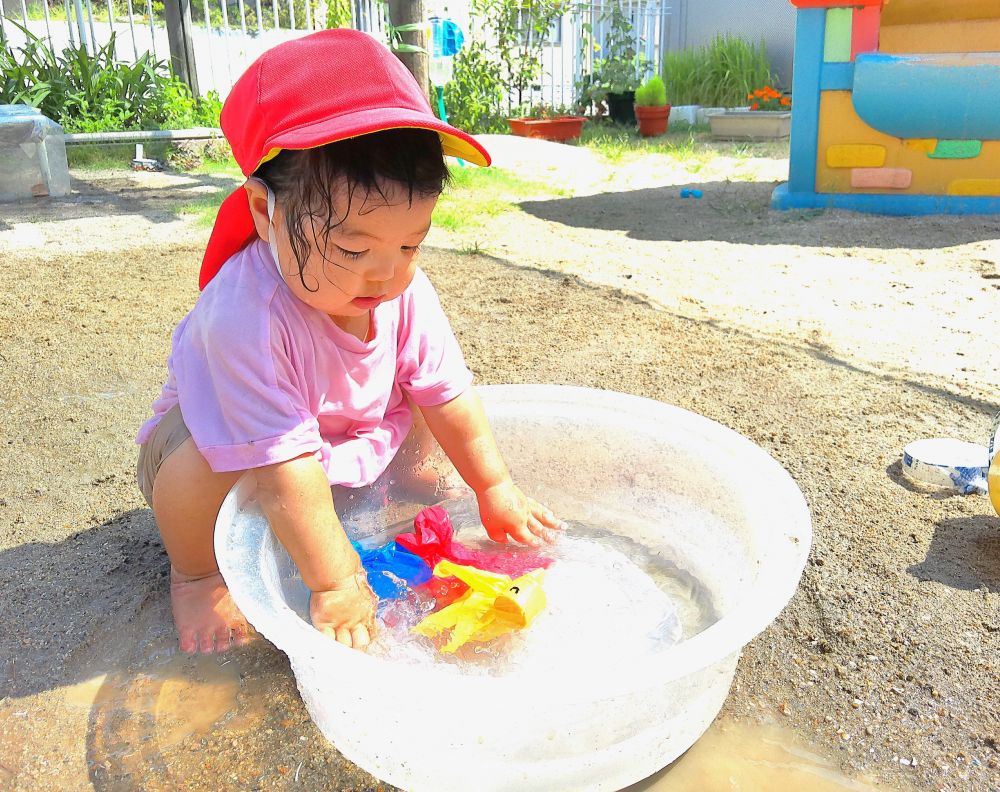 金魚を集めてきたTちゃん
水面をちゃぷちゃぷ触ってみると、
一緒に金魚が動くことを発見☆
大きく手を動かしてみたり、ぐるぐる回してみたり・・・
水の気持ち良さを感じながら、金魚を泳がせていました♡