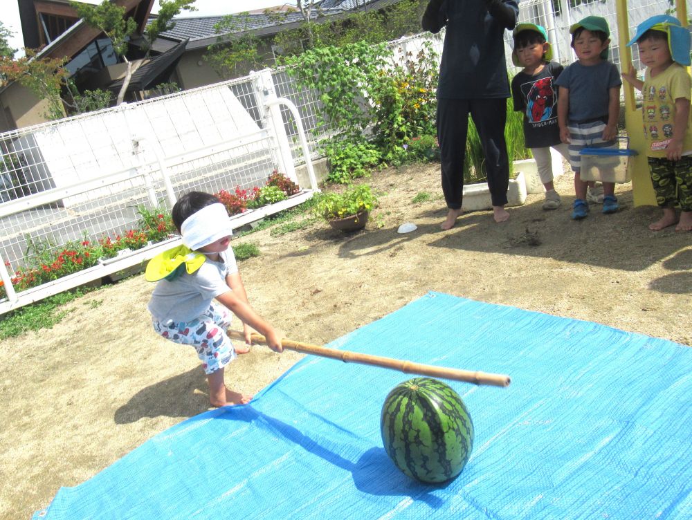 野菜や果物の美味しい季節を知ること
見て・触れて・匂いを嗅いで感覚を働かせる
子どもたちにとっての大切な学びです



夏といえば・・・すいか！！
すいかと言えば・・・すいか割！！
みんなですいかを触ったり匂ったり
遊んだりすることを楽しみました♡