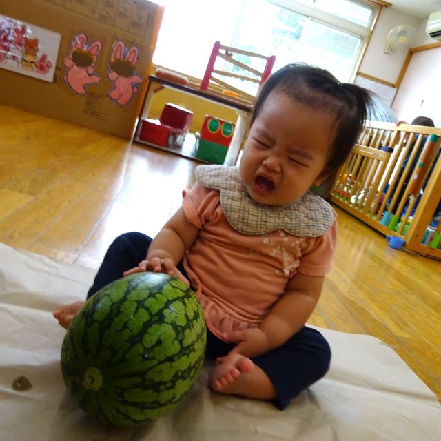 食育の日🍉すいか🍉　　～0歳児　ウサギ組～