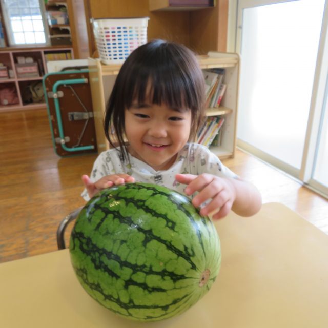 食育の日🍉スイカ🍉　～２歳児　クマ組～