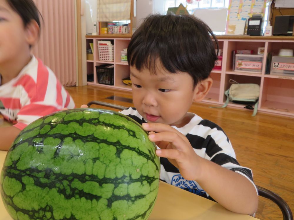 スイカが大好きなIくん。とっても嬉しそう。
３時のおやつで食べるのが楽しみだね♪

最後に目の前で半分に切ってもらったよ。
スイカの種を見て「チョコレート！」って・・・。それは○○○バーの事かな🍦




