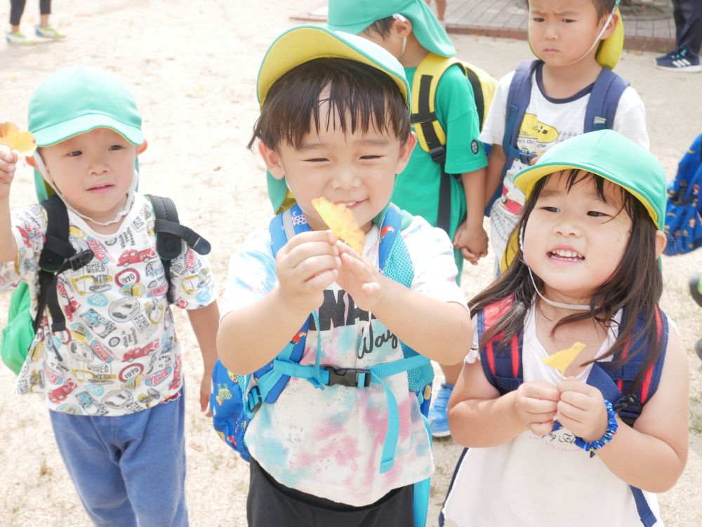 公園には黄色く色付いたイチョウの葉が・・・
『葉っぱ落ちてた！！』
『黄色くて可愛いね』
まだ暑いけど季節はもう　“秋”　だね♡