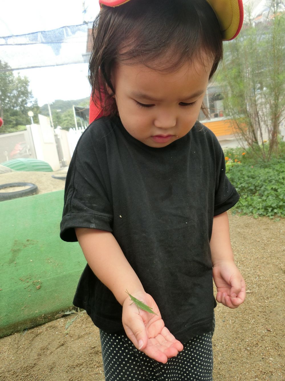 「Sは持てるよ！！」と、
上手に手のひらに乗せているSちゃん♪

実はまだ、だんごむしも住んでいる、
あいはうすの草原♪
季節が変わってきて、
新しい生き物もやってくるようになりました😀