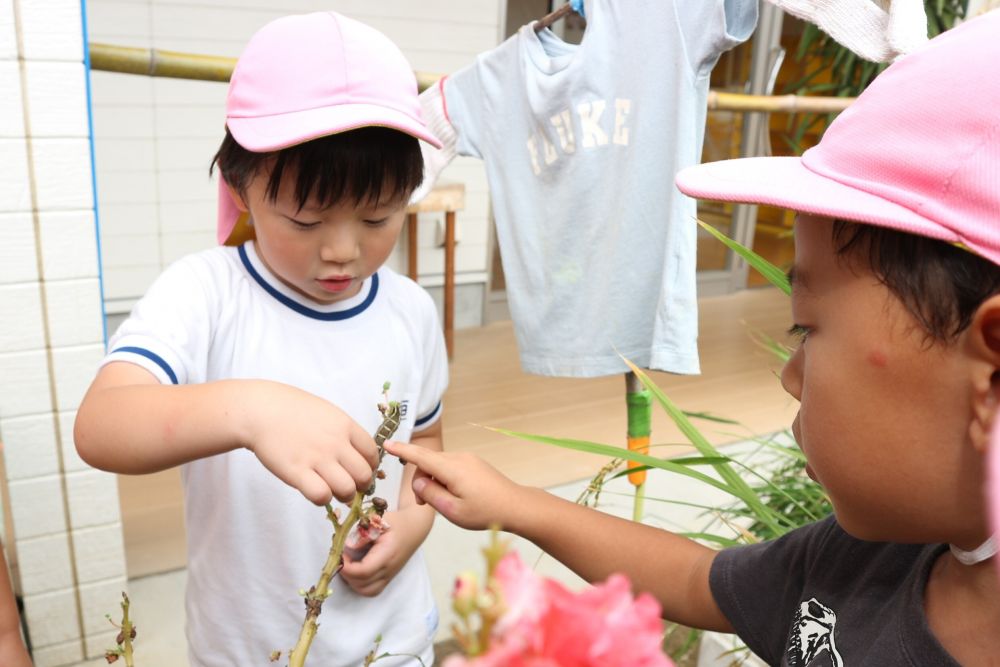 季節によって違う
色々な虫との出会いに親しみながら遊ぶ



園庭の入り口に大きな幼虫を発見！
「触りたい！」
「見たい！」
今まで発見しなかった幼虫に好奇心いっぱい♡
観察しやすいように「こっちに運ぼうや」とプランターをみんなで引越し♪

『触りたいけど・・』
『ドキドキする・・』
『やった！触れた！』！
一人一人色々な気持ちと葛藤しながらも
虫との触れ合いを楽しむ♡