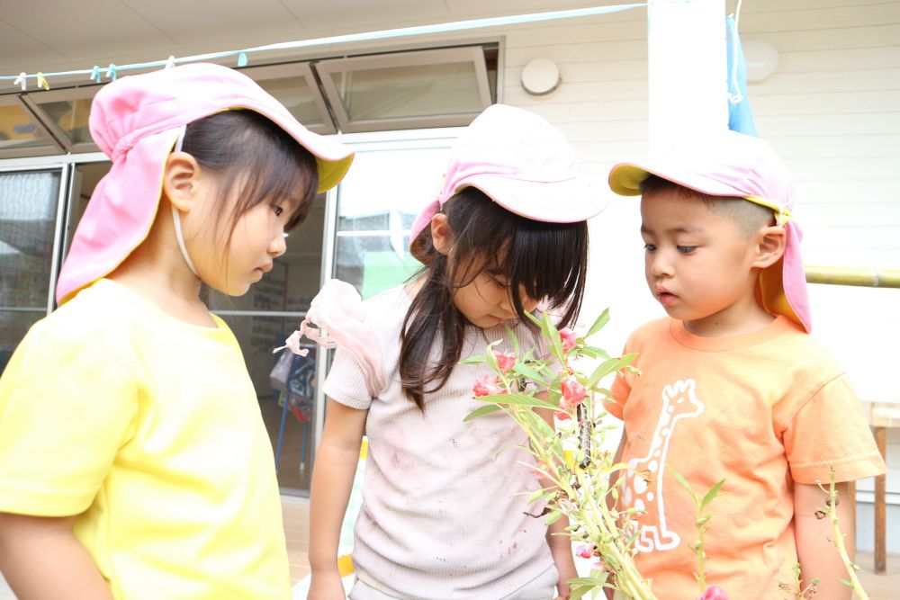 「はっぱいっぱい食べてるね。お腹空いとったんかね」
「この葉っぱが大好きすぎるんじゃろ」
「動くのもはやい！！」
様子をじっくり観察しながら発見を共有