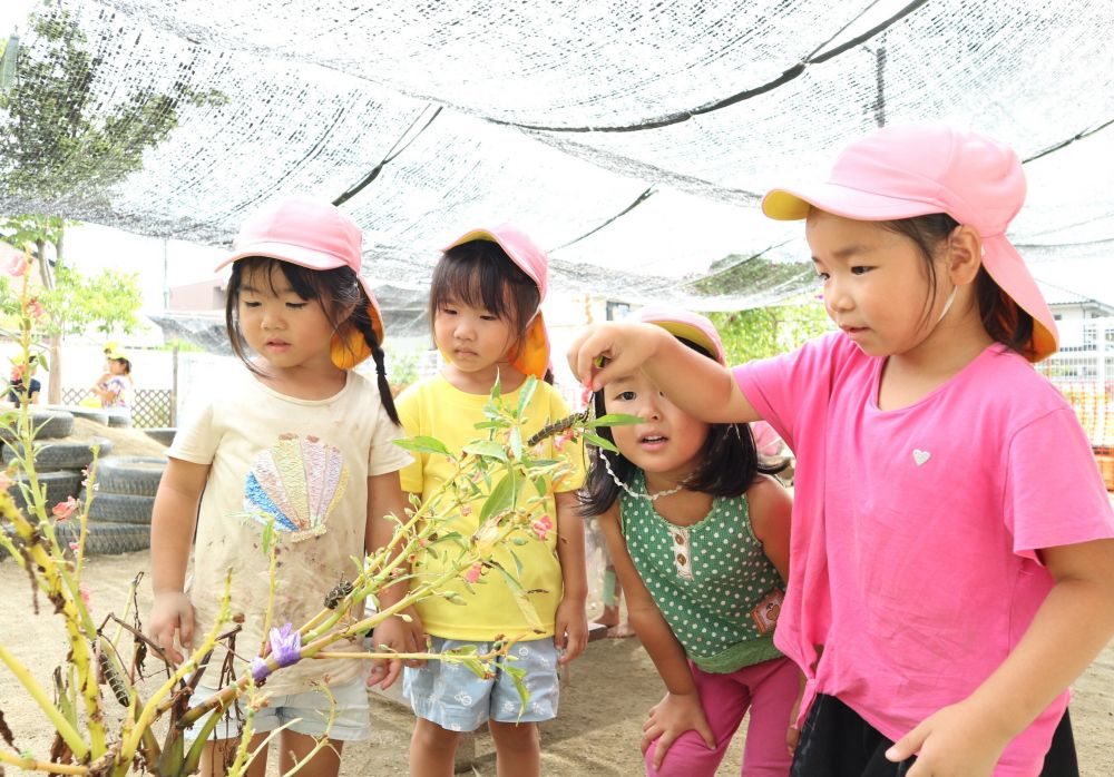 
葉っぱを食べている幼虫の様子が気になって
面白くて観察をじっくり楽しむ

「イモムシさーんこっちだよー」
「こっちにもえさあるよ」
「なんか面白いね」
「はっぱ食べてくれるかやってみたい・・」
イモムシの食事に興味津々