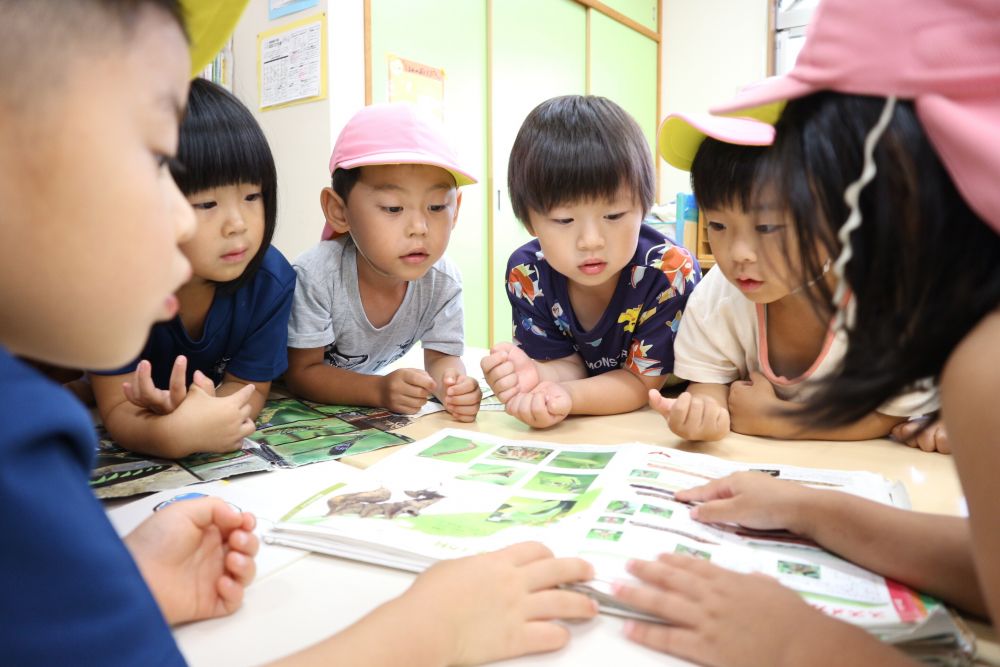 ホウセンカの花にいた幼虫
”何に進化するの？”
”何ていう名前なんだろう”
”エサは何だろう”
疑問がたくさん！

気になった事は共有しながら
友達や保育教諭と一緒に調べる♡


