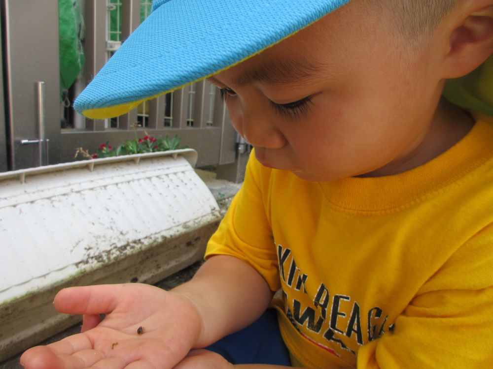 「見て…」

そっと開いた手の中にはでんでん虫の赤ちゃんが入っていました…
こんなに小さくてもちゃんとでんでん虫の形をしています

