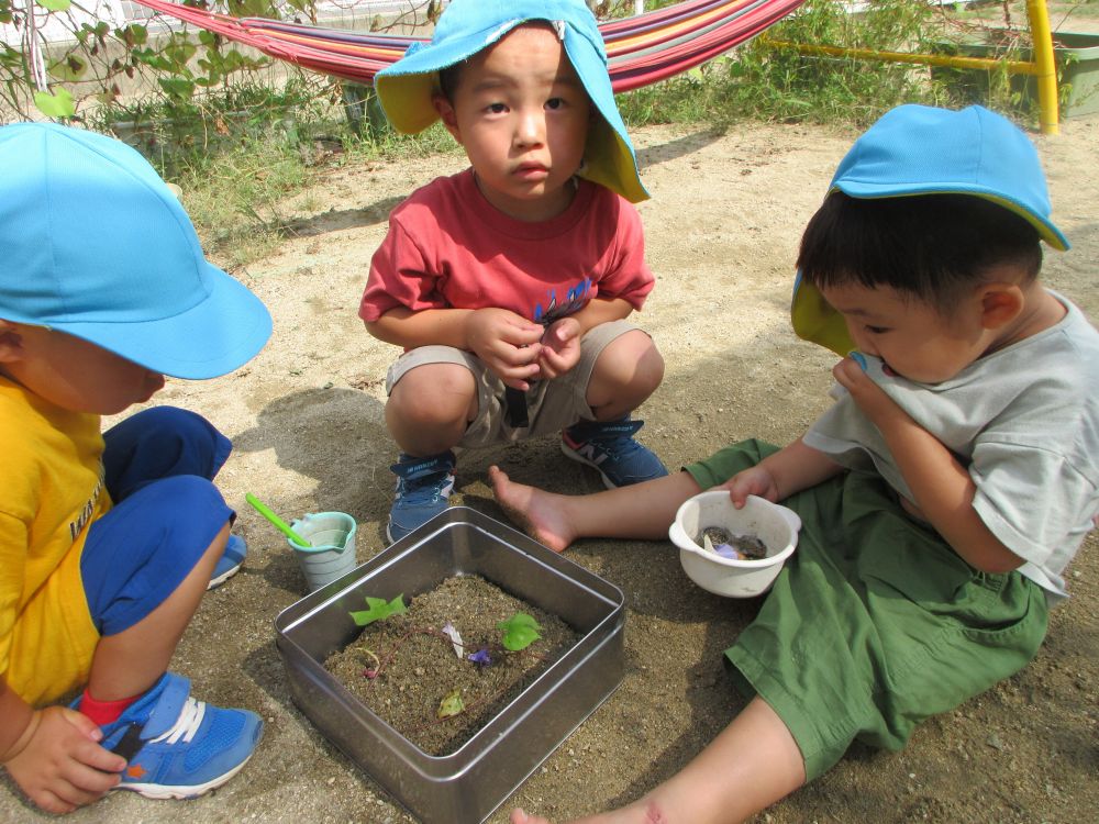 「水があった方がいいんじゃない？」
「葉っぱがあったほうがいいんじゃない？」
「赤ちゃんじゃけ優しくせんといけんよ」

一生懸命考えて素敵な赤ちゃんでんでん虫の家が完成しました♡
クマ組の部屋にまた一つ新しい仲間がやってきました

