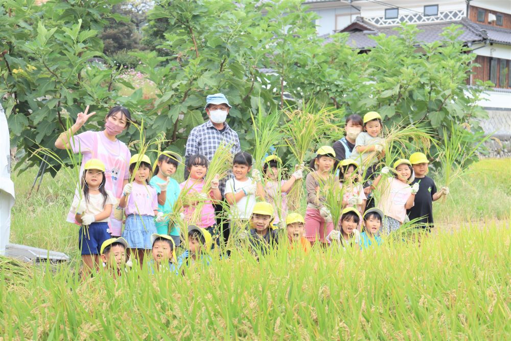 楽しみにしていた稲刈りをしました
6月に田植えをしてから今日まで大事に育ててくれた村上のおじいちゃん
いつも貴重な体験をさせてくれてありがとうございます