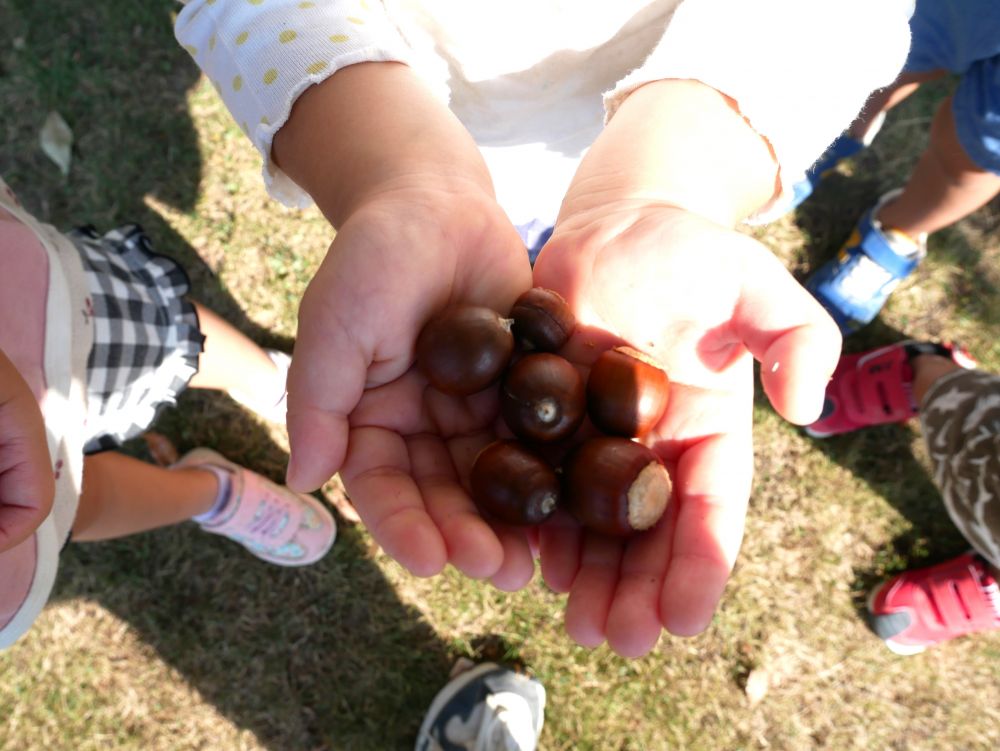 「秋」といえば・・・外で自然に触れるのが楽しい
木の実・秋の虫・紅葉
子どもたちにとって新たな発見や学びに繋がります



今日は東尾道公園へ・・・
『どんぐりあるかな～？』
歩いていると・・・たくさんのどんぐりが！
手のひらいっぱいのどんぐりに喜びが広がります♡