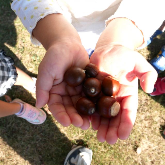 ＊　３歳児　秋のお散歩　＊