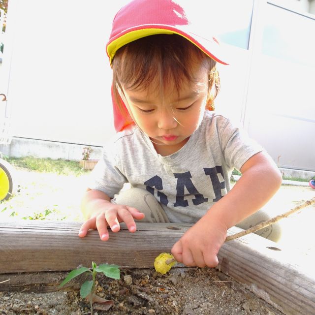 ＊　０・１歳児　なんだこれ！？　＊