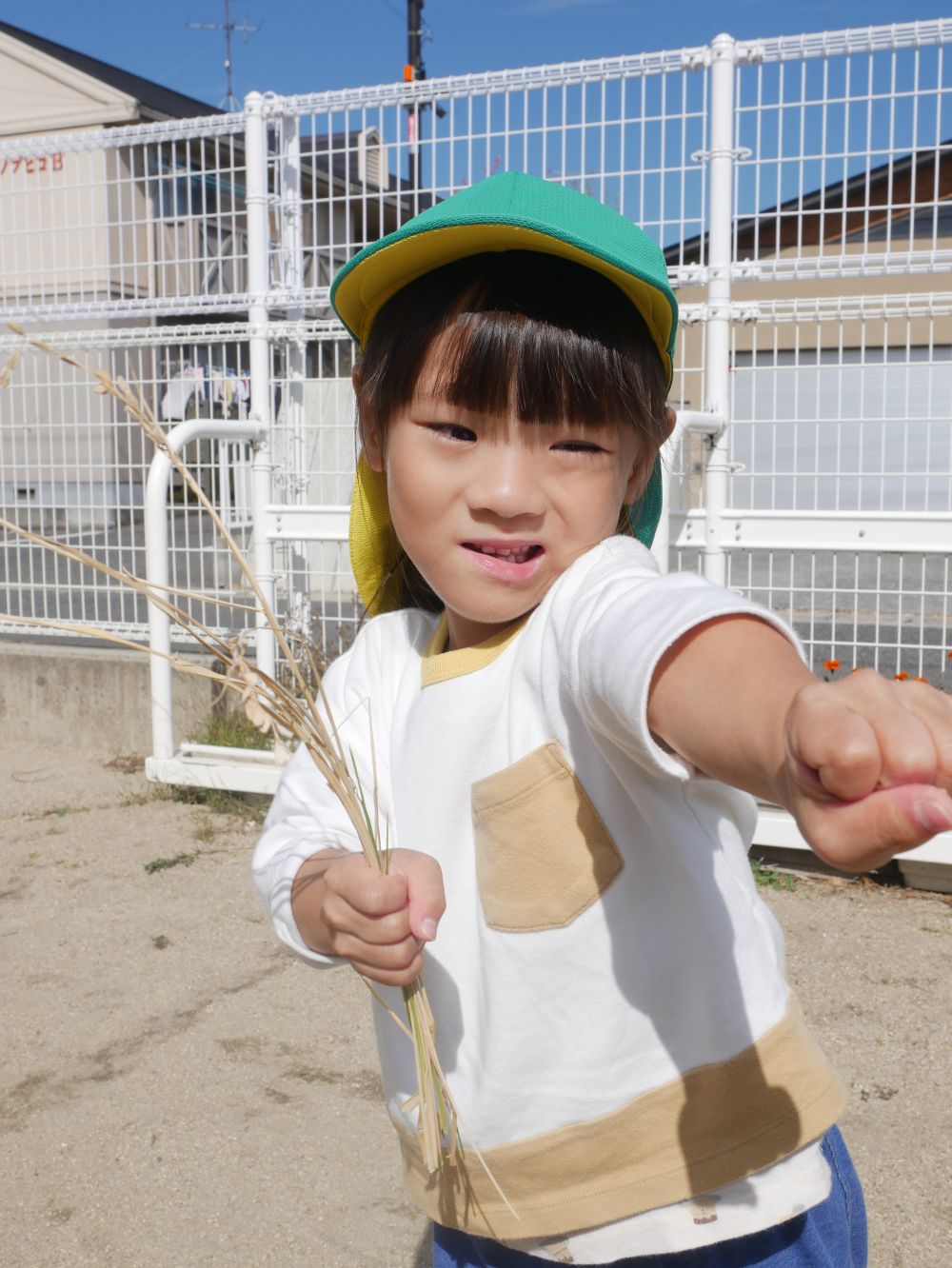 『これがお米になって食べられるんだよ』
先生が伝えると
『へ～・・・そうなんだ？』
不思議そうなⅯちゃんでした♡