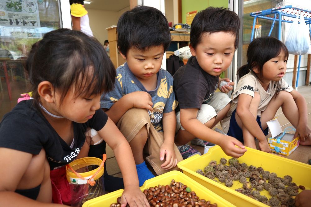 「これは、木だからここ」
「小さいどんぐりはここ」
「大きいどんぐりはどうする？」
「色が違うどんぐりも一緒でいい？」

「どんぐりの帽子は、ここだね」
「ここに違う仲間が混ざっとるよ」
「これはこっち！」
「どっちが早く分けっこできるか競争ね！」

友達と確認し合い、楽しみながら・・・♡
