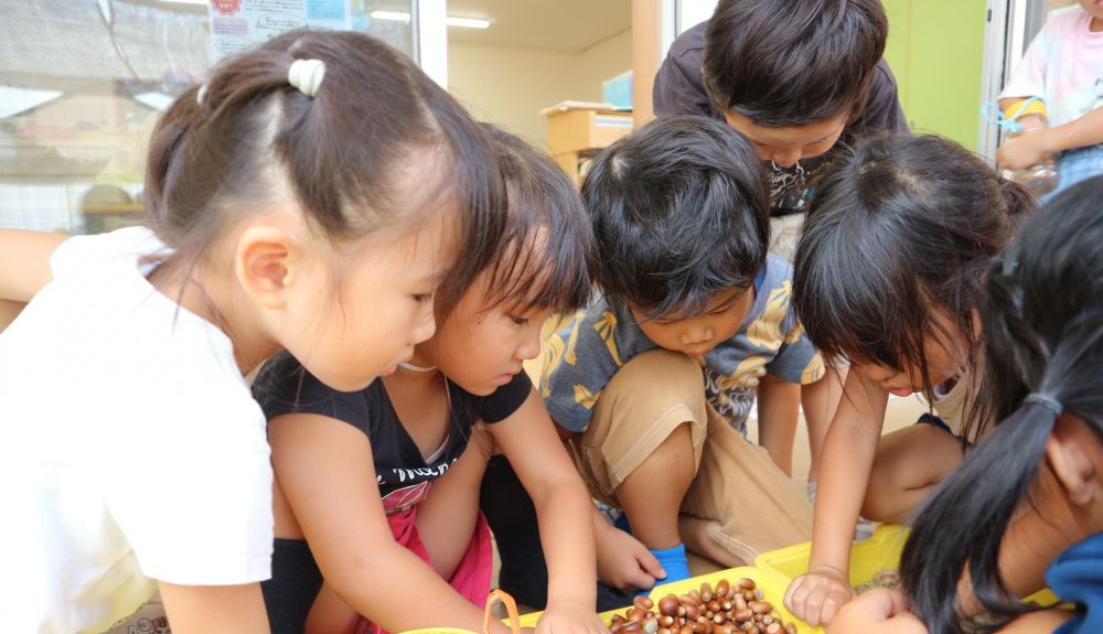 「あれ、ここになんかいる」
「ちっちゃい芋虫みたいなの！」
「どんぐりからでてきた！？」

夏とは違う秋ならではの出会いがいっぱい♡

