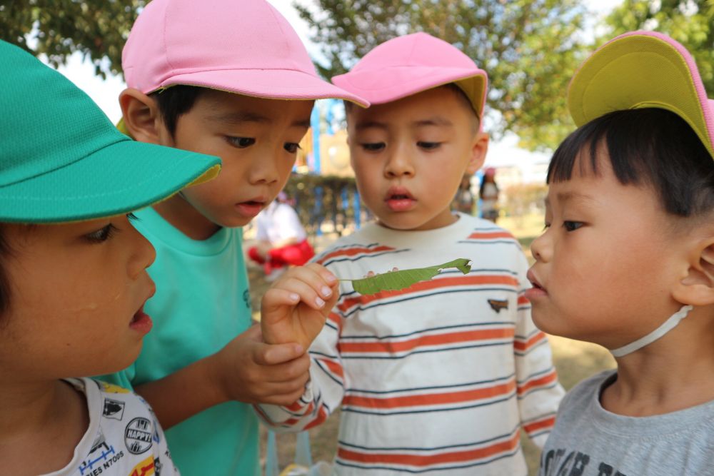 どんぐりや木の実、虫たちなど地面には
子ども達にとっては宝の山でいっぱい♡


落ち葉の裏を見てみると・・・
「なんかのたまご？」
「動いてる？」
「キノコ・・？」
「誰かが赤ちゃんの卵産んだんじゃない？」
不思議な葉っぱを発見！
知ってることや感じたことを伝え合う♡

