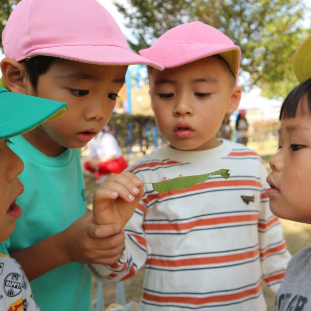 ＊　4歳児　秋さがし③　＊