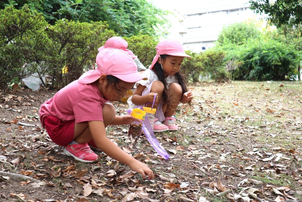 “たくさん集めたい”
“たくさん欲しい”
“小さいかわいいどんぐりがいい“
“おいしいごはん作れそう”

一人一人色々な思いを持って
自然の中で思い切り遊ぶことを楽しむ♡

